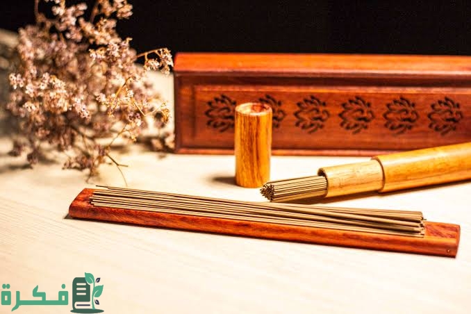 images 2023 03 25T045738.265