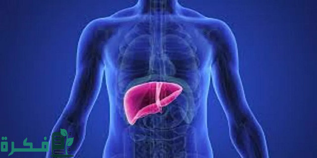 أسماء افضل 5 أدوية لعلاج تليف الكبد 38 أفضل 5 أدوية لعلاج تليف الكبد