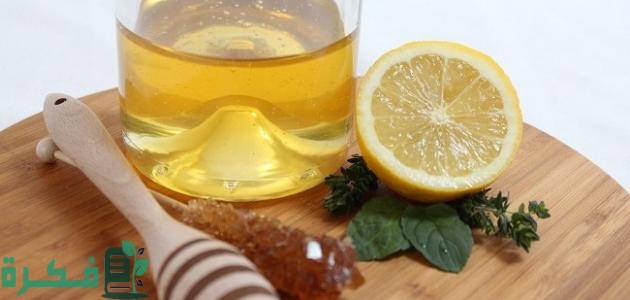 أفضل 5 أعشاب لحرق الدهون البطن والأرداف