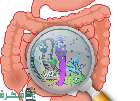 أفضل 5 أكلات للنزلة المعوية للأطفال