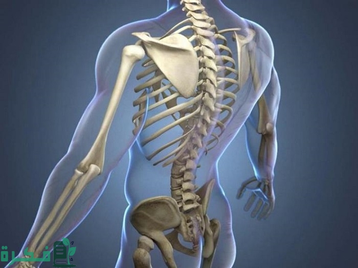 أفضل 5 حقن فيتامينات للعظام