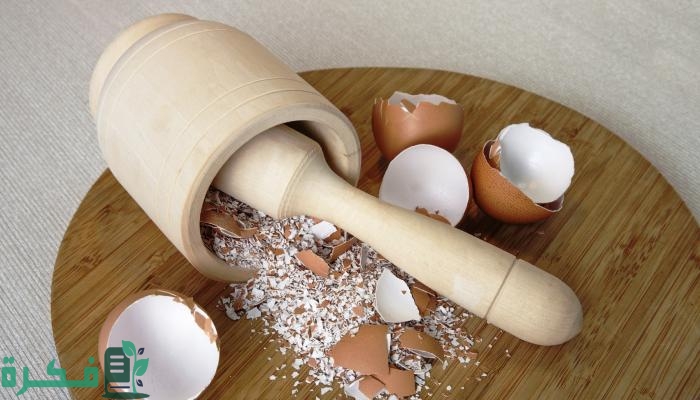 أفضل 5 طرق التخلص من الابراص أفضل 5 طرق التخلص من الابراص