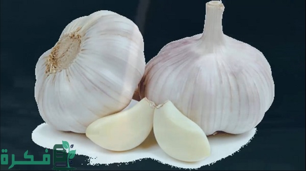 أفضل 5 طرق التخلص من الابراص أفضل 5 طرق التخلص من الابراص