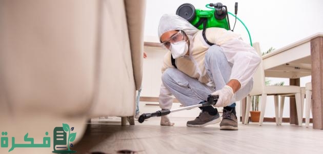 أفضل 5 طرق القضاء على البراغيث