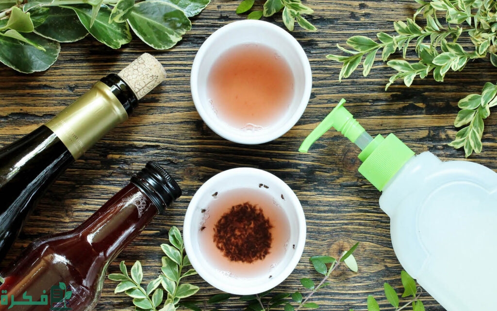 أفضل 5 طرق طرد الذباب من المنزل بدون مبيد