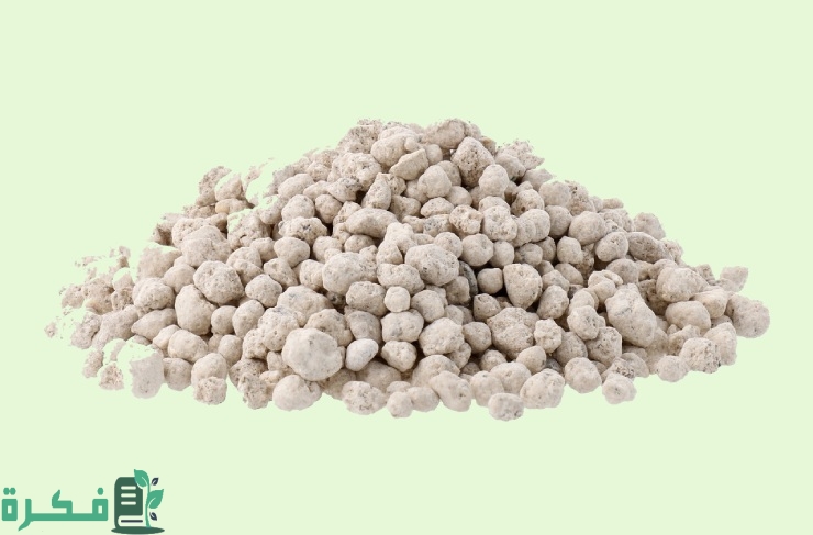 أفضل 5 أنواع سماد للنباتات المنزلية