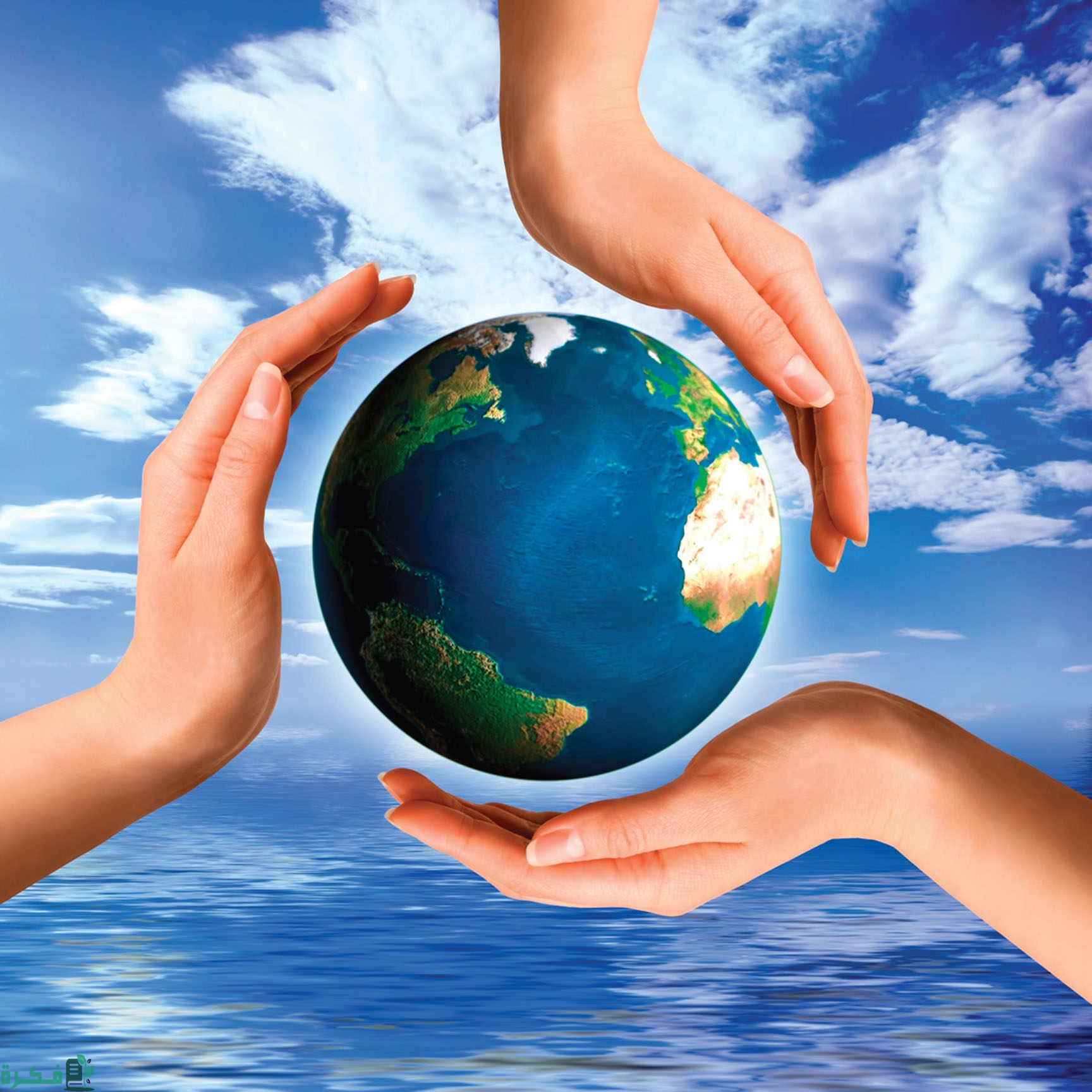 بحث عن الأنظمة البيئية المائية بحث عن الأنظمة البيئية المائية