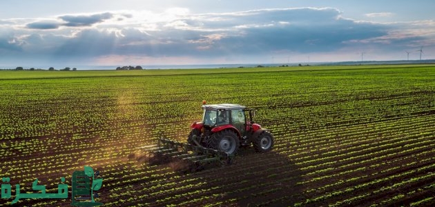 بحث عن الزراعة بالعناصر الرئيسية