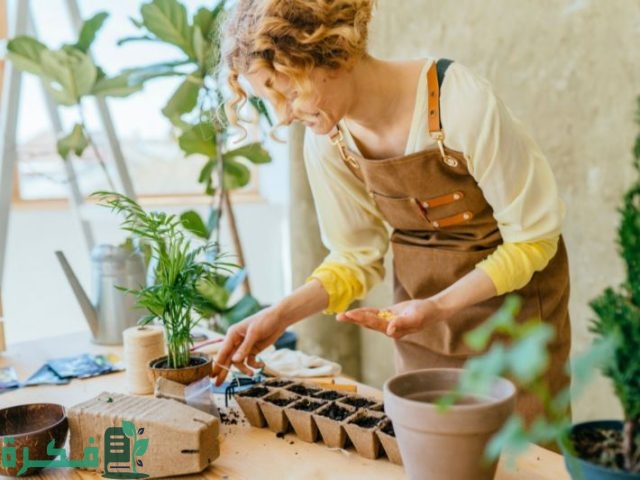 طريقة عمل أحواض زراعة بالمنزل