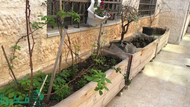 طريقة عمل أحواض زراعة بالمنزل