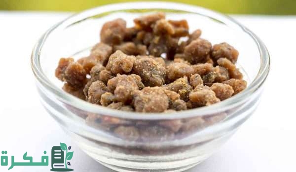 عشبة الحلتيت