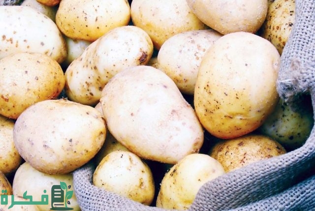 كيفية زيادة إنتاج البطاطس