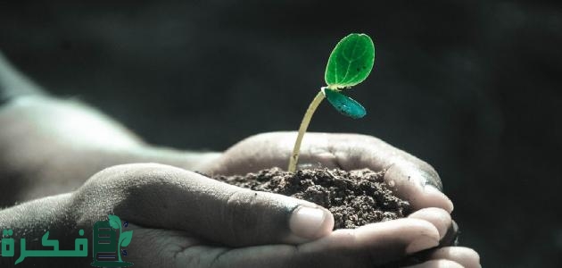 فضائل الصدقة على الميت والحى