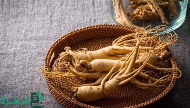 معلومات عن عشبة الجنسنج