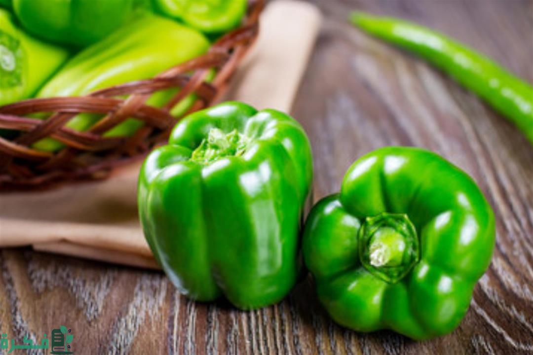 مواعيد ري الفلفل