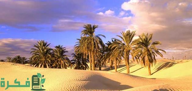 موضوع تعبير عن تعمير الصحراء