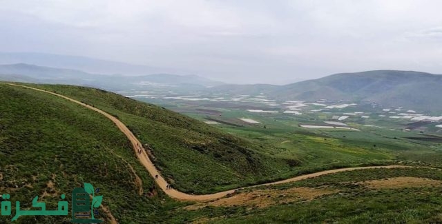 معلومات عن أعلى جبل في فلسطين