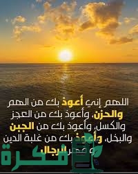 831CBAF4 6CB3 4C86 AC99 19D5D8BB404D