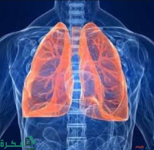 أسماء افضل 5 أعشاب لعلاج التهاب الشعب الهوائية 7 أفضل 5 أعشاب لعلاج التهاب الشعب الهوائية