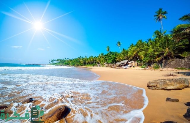 موضوع تعبير عن فصل الصيف