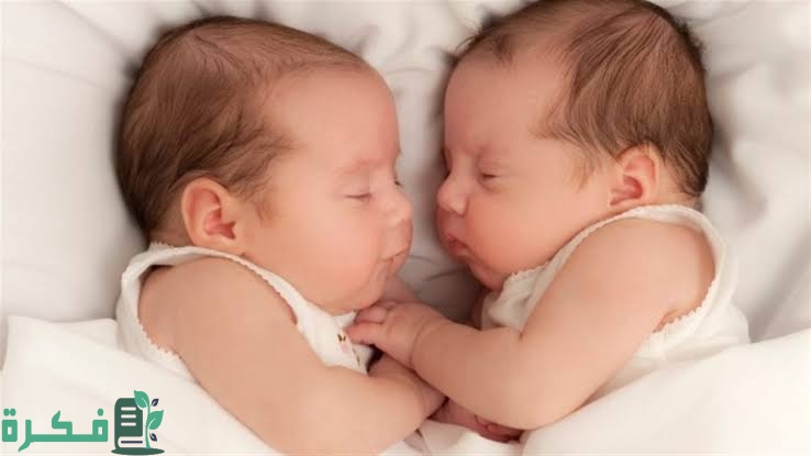 تفسير رؤية موت التوأم تفسير رؤية موت التوأم