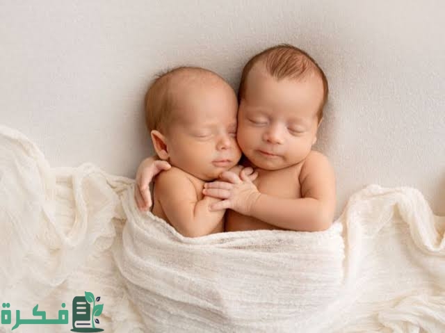 تفسير رؤية موت التوأم تفسير رؤية موت التوأم