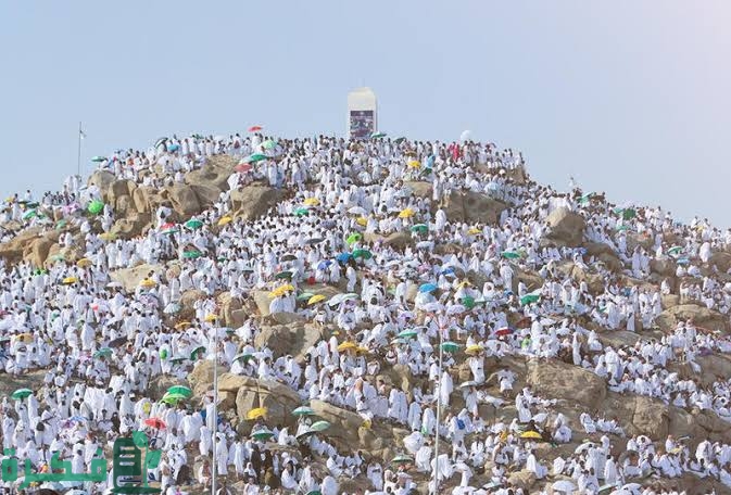 images 2023 04 15T001345.612