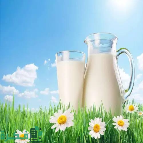 images 2023 04 27T121442.902