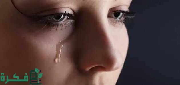 images 2023 04 29T231146.813