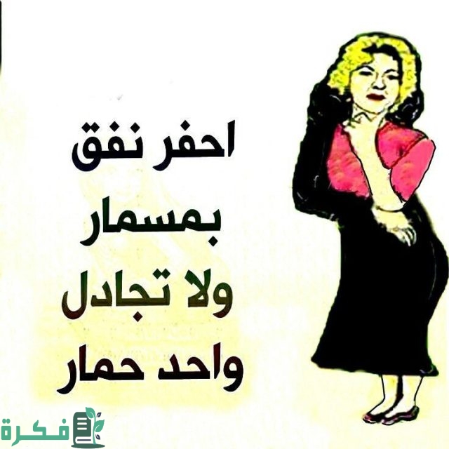 أمثال شعبية مضحكة مرحة