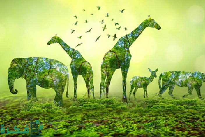 أنواع النظم الإيكولوجية