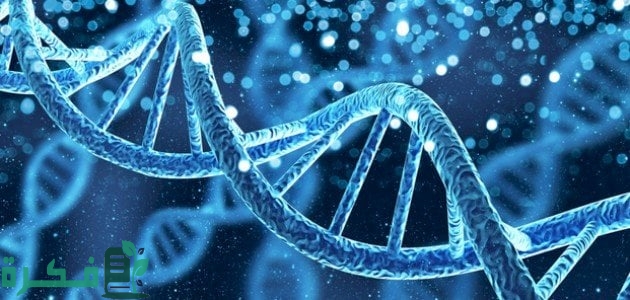 استخدامات البيولوجيا الجزيئية