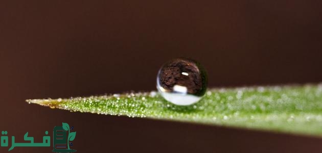 الفرق بين اللزوجة والتوتر السطحي