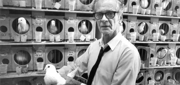 بحث عن نظرية سكنر