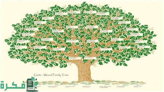كيفية معرفة شجرة العائلة في الجزائر