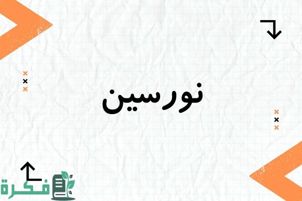 معنى اسم نورسين