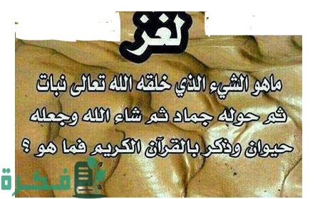 ما هو الشئ الذي خلقه الله نبات ثم جماد ثم حيوان