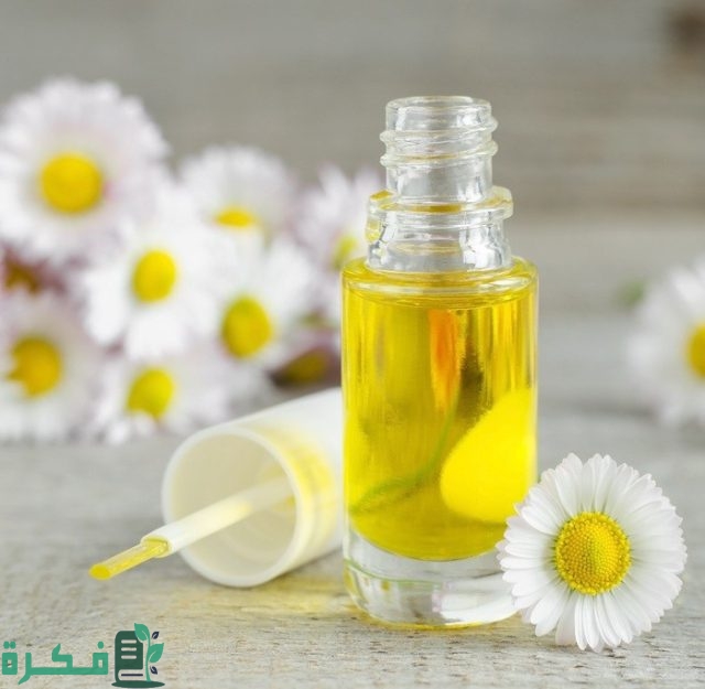 وصفة زيت البابونج لتفتيح المناطق الحساسة