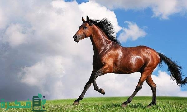 images 2023 05 14T063808.019