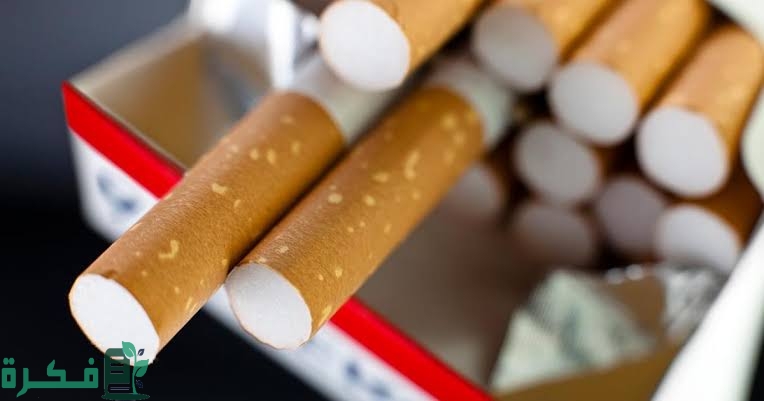 images 2023 05 17T092204.454