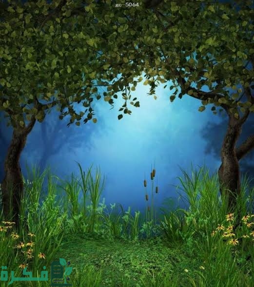 صور للتصميم