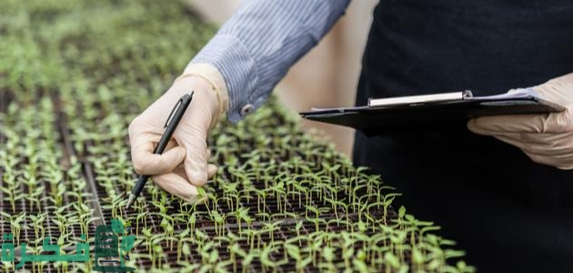 أفضل أقسام كلية الزراعة والتخصصات أفضل أقسام كلية الزراعة والتخصصات