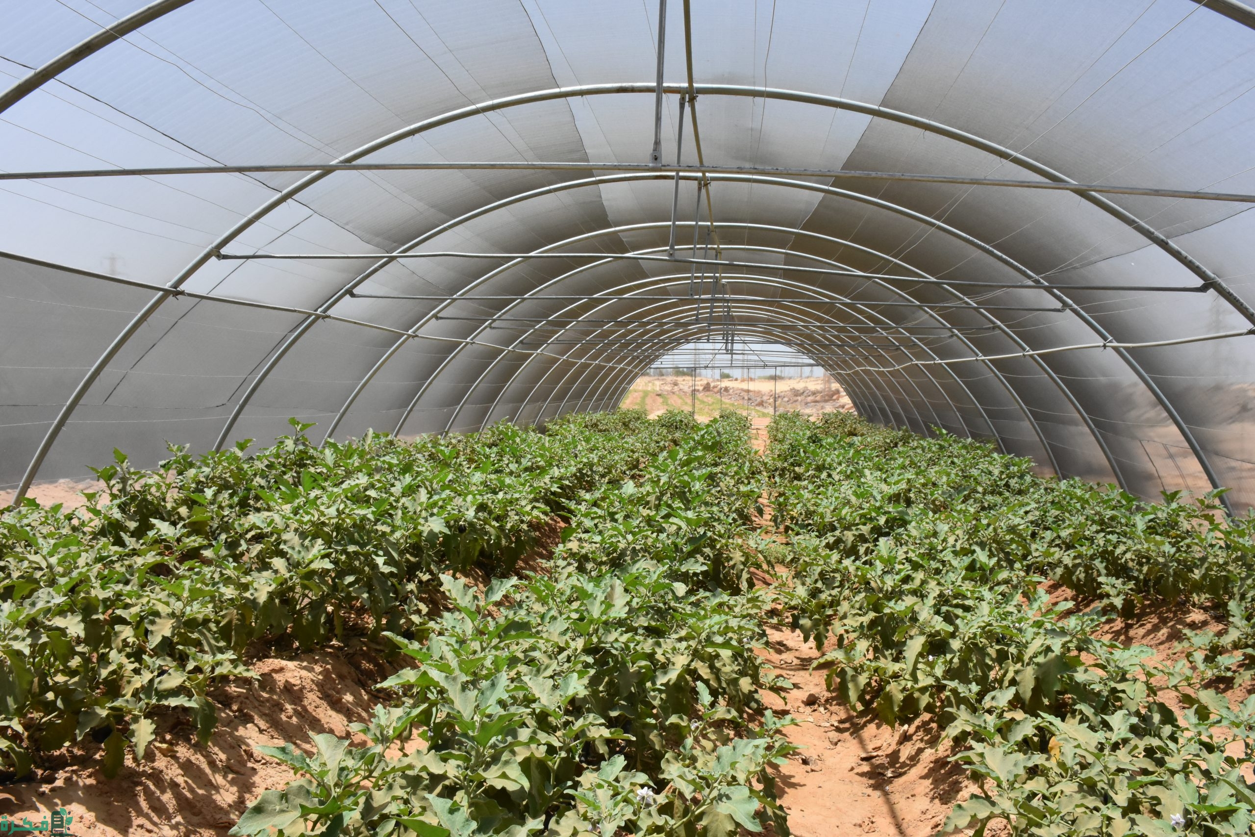 أفضل أقسام كلية الزراعة والتخصصات أفضل أقسام كلية الزراعة والتخصصات