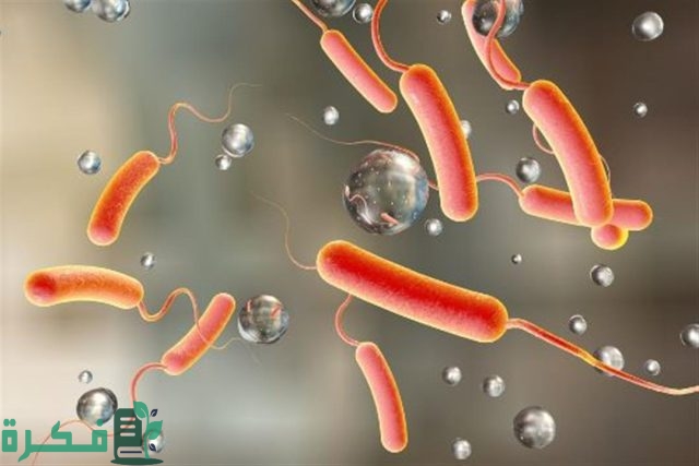 اذاعة عن مرض الكوليرا