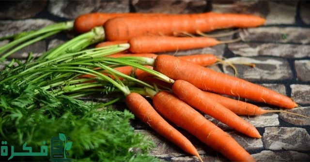 اسم أكلة بحرف الجيم