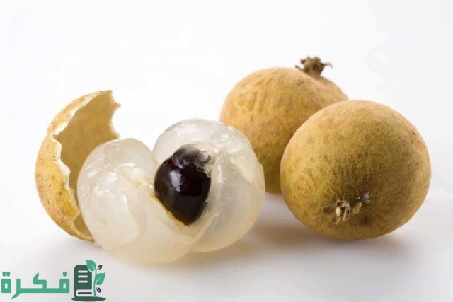 اسم أكلة بحرف الظاء