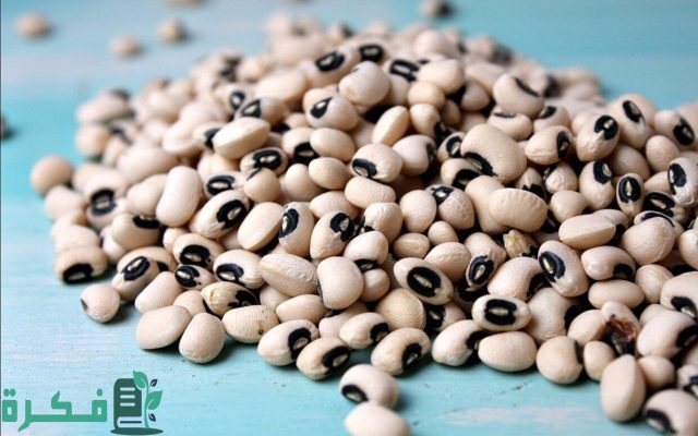 اسم أكلة بحرف اللام