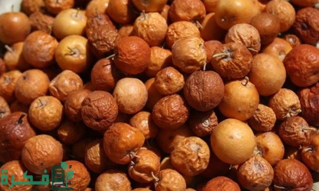 اسم أكلة بحرف النون