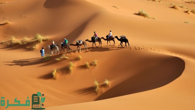 الحديثي وش يرجعون