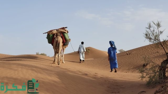 الخرجي وش يرجعون
